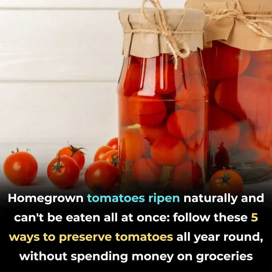 Tomates caseiros amadurecendo naturalmente? Experimente estes 5 métodos de preservação para aproveitá-los o ano todo sem gastar um centavo no mercado